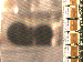 SurveyImage_07_03.png