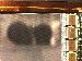 SurveyImage_07_04.png