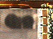 SurveyImage_09_04.png