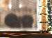 SurveyImage_11_02.png