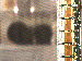 SurveyImage_11_03.png