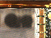 SurveyImage_11_04.png