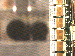 SurveyImage_13_03.png