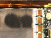 SurveyImage_13_04.png