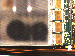 SurveyImage_15_02.png