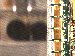 SurveyImage_15_03.png