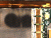SurveyImage_15_04.png