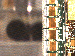 SurveyImage_19_03.png