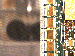 SurveyImage_21_03.png