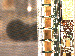 SurveyImage_23_03.png
