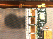 SurveyImage_23_04.png