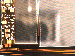 SurveyImage_24_02.png