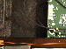 SurveyImage_24_05.png