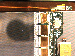 SurveyImage_25_04.png