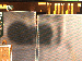 SurveyImage_26_04.png