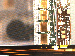 SurveyImage_27_02.png
