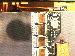 SurveyImage_27_04.png