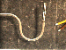 SurveyImage_29_02.png