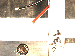 SurveyImage_30_01.png
