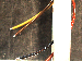 SurveyImage_30_02.png