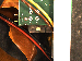 SurveyImage_30_04.png