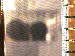 SurveyImage_03_03.png