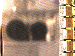 SurveyImage_05_03.png