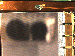 SurveyImage_05_04.png