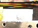 SurveyImage_07_01.png