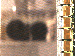 SurveyImage_07_03.png