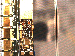 SurveyImage_08_03.png