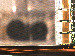 SurveyImage_09_02.png