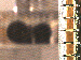 SurveyImage_09_03.png