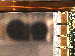 SurveyImage_09_04.png