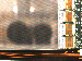 SurveyImage_11_02.png