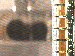 SurveyImage_11_03.png