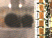 SurveyImage_13_03.png