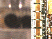 SurveyImage_17_03.png