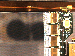 SurveyImage_17_04.png