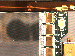 SurveyImage_21_04.png