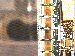 SurveyImage_23_03.png