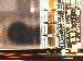 SurveyImage_25_02.png