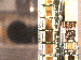 SurveyImage_25_03.png