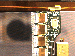 SurveyImage_27_04.png