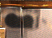 SurveyImage_28_04.png