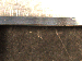SurveyImage_29_06.png