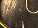 SurveyImage_01_03.png