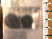 SurveyImage_03_03.png