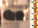 SurveyImage_05_03.png