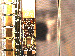 SurveyImage_06_03.png
